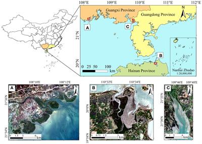 Mangrove forest mapping from object-oriented multi-feature ensemble classification using Sentinel-2 images